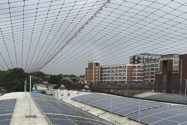 Bird Netting Installation