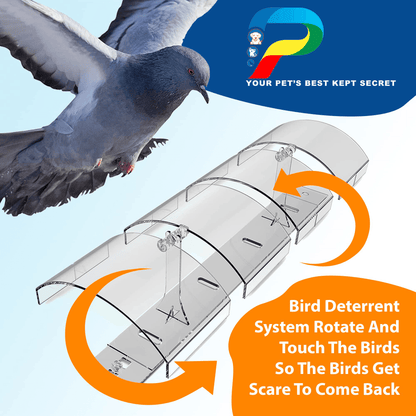 Petslandia Bird Deterrent System - Polycarbonate Pigeon Deterrent